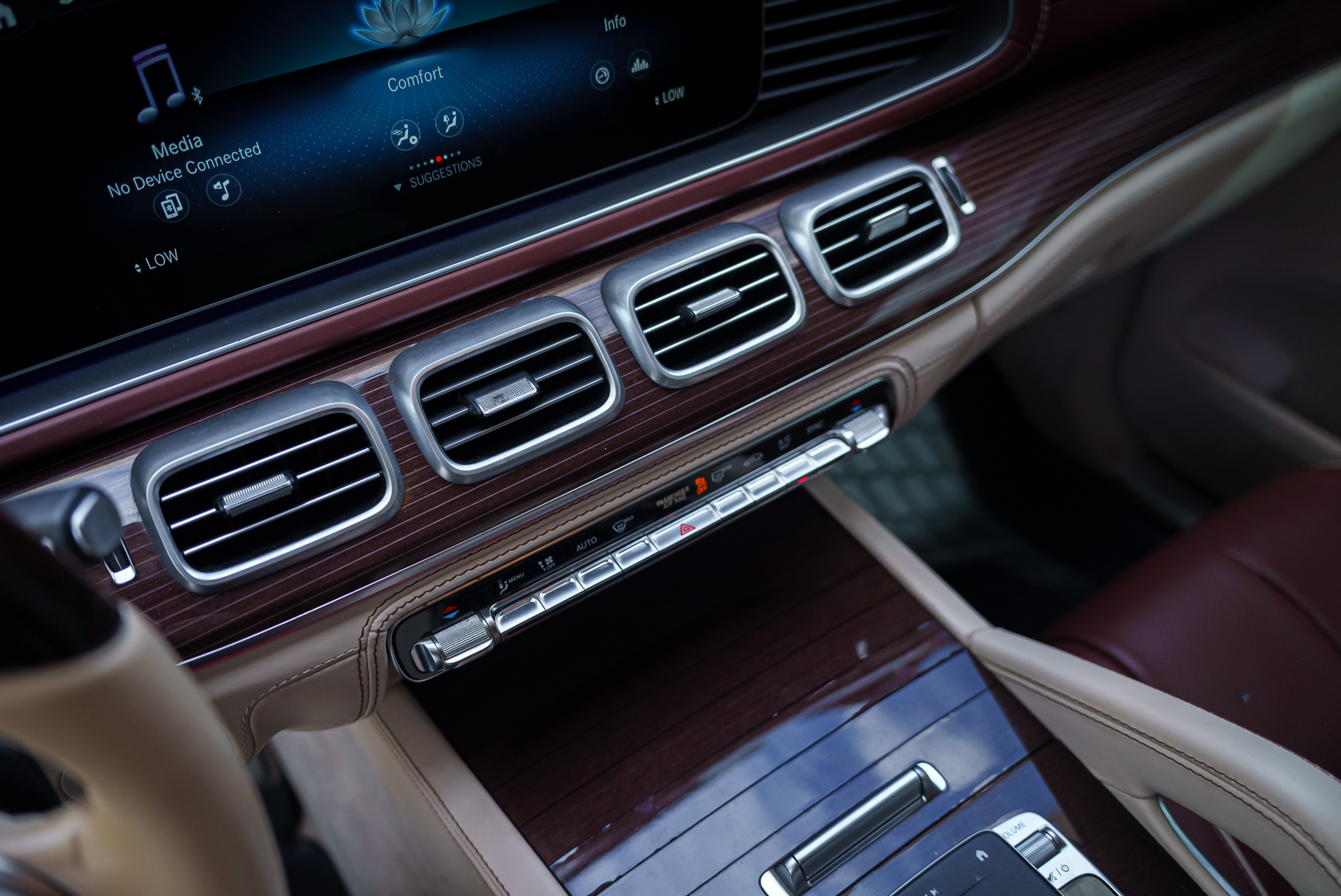 Mercedes-Benz Maybach GLS 600 Black — photo 13